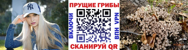 Купить где Харовск Галлюциногенные грибы мухоморы